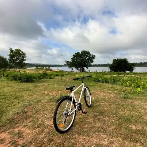 Bicycles Available on rent.